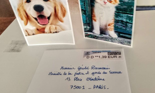 Petition : Pour que les actes de cruauté envers les animaux soient considérés comme un crime
