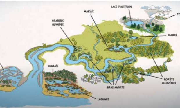 Petition : Absurdité de l'emplacement projeté pour un nouveau cimetière à Avanne-Aveney (25) !