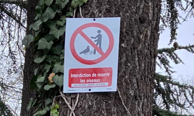 Petition : STOP à la FAMINE infligée aux animaux de la mare de Saint-James – Bois de Boulogne !
