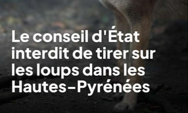 Petition : Pour l'annulation de la dérogation d'abattage des loups en France !