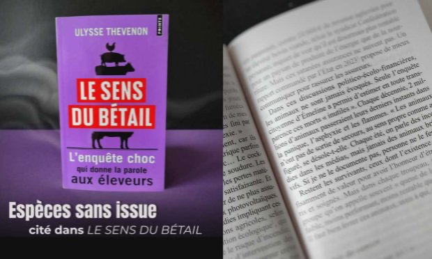 Petition : 176 679 animaux d'élevage brûlés vifs en 2025 : Ça suffit !