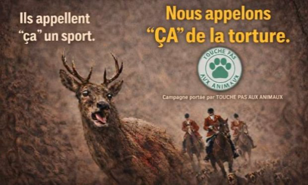 Petition : Stop à la chasse à courre