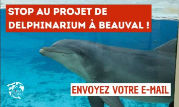 Petition : NO to a dolphinarium in Beauval: the exploitation of cetaceans is over!