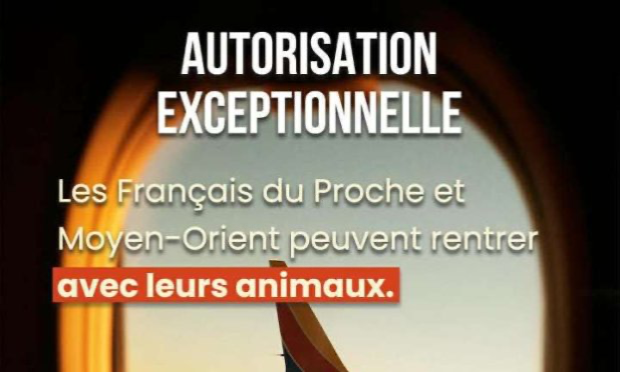 Petition : En marche vers une évolution radicale des droits des animaux en France