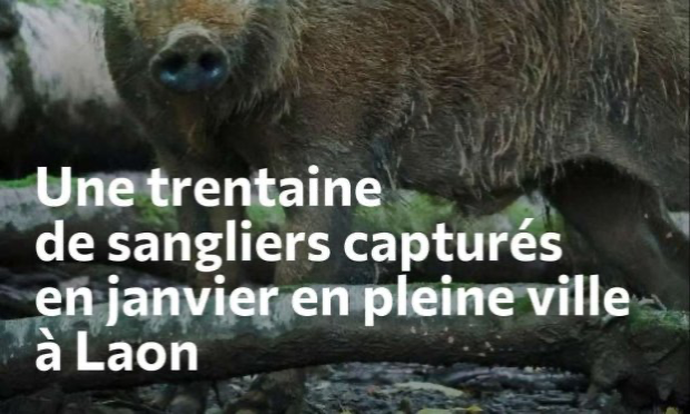 Petition : En marche vers une évolution radicale des droits des animaux en France
