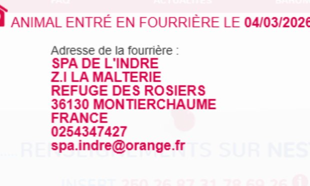 Petition : Sauvons Nestor