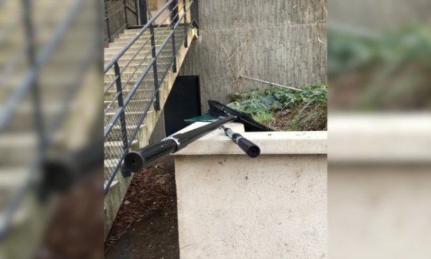 Petition : Stérilisation des chats errants Croix Rousse !