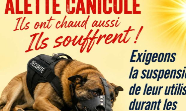 Pétition : Urgence canicule : suspendons l’utilisation des chiens cynophiles jusqu’à mi-septembre