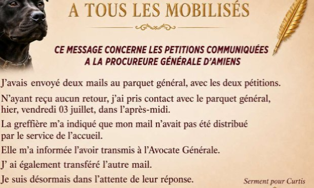 Petition : Demandons à la procureure générale d'Amiens d'accepter le transfert de Curtis chez AVA