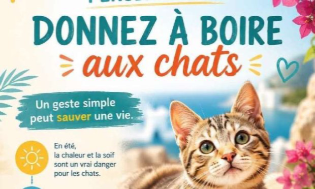 Pétition : Un acte de barbarie atroce : un chien torturé à mort, un bâton enfoncé dans le rectum