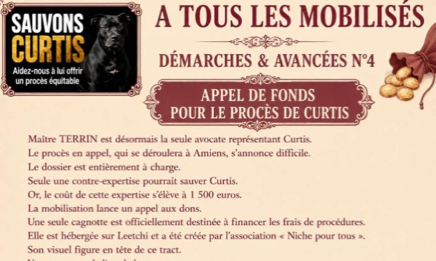 Petition : Pour Curtis : exigeons de l’ENVA la réponse à trois questions simples