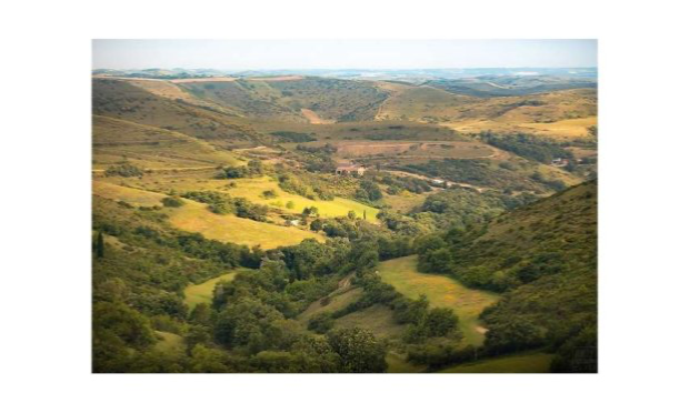Pétition : Non aux centrales agrivoltaïques sur les Espaces Naturels Agricoles et Forestiers