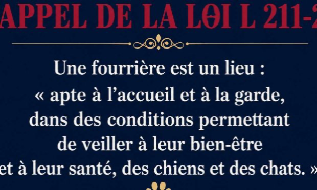 Petition : Pour Curtis : exigeons de l’ENVA la réponse à trois questions simples
