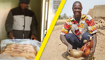 Stop aux exportations de volailles congelées vers l'Afrique !