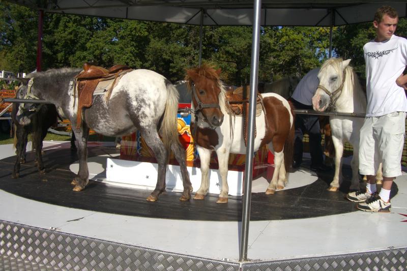 Pour l'interdiction des manèges à chevaux