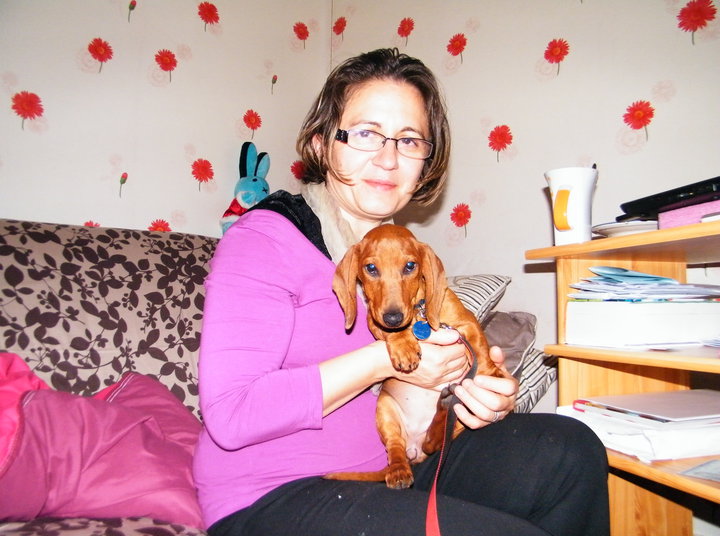 Aidez-moi à récupérer mes animaux  !