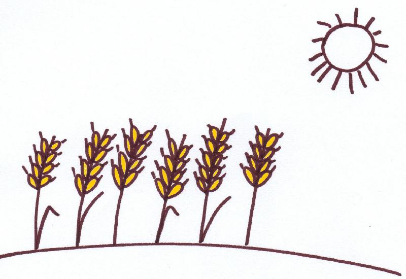 Inquiétude du personnel salarié du réseau Gites de France