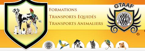 Stop aux abandons et euthanasies d'animaux à l'approche des vacances