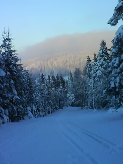 bouchon, pollution...action !