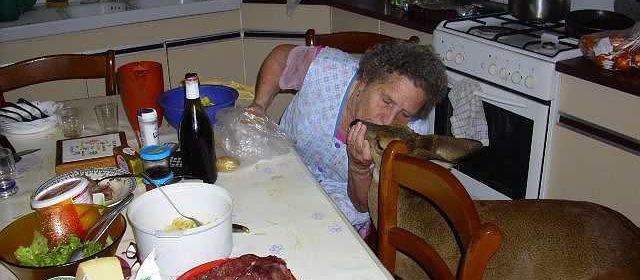 Très urgent : Sauver Bambi Poitou-Charentes avant le 1er janvier 2012 !