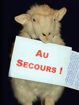 arretons la boucherie