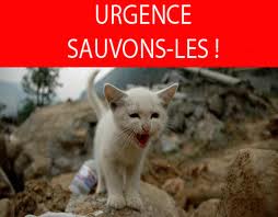 aidons n.ménigon a garder ses animaux