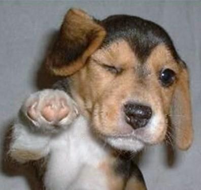 Après la fin de l'AER, nouveau combat pour une Pension Equivalent Retraite (PER)