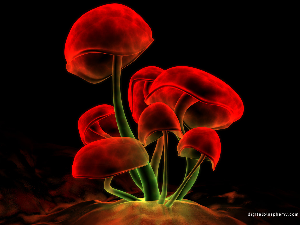 Pour la dépénalisation du cannabis