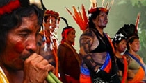 Guyane française : Il faut sauver les 1.500 et derniers Amérindiens Wayana !