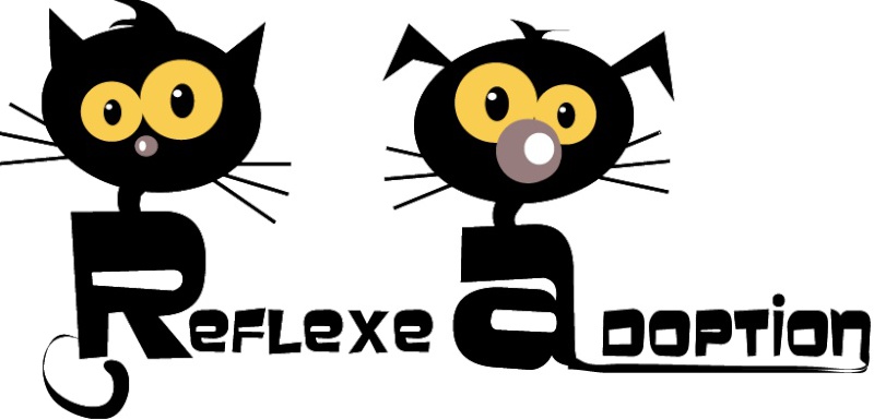 Neptune et Elche : 2 juments abandonnées en pature, l'une en a perdu la vie !