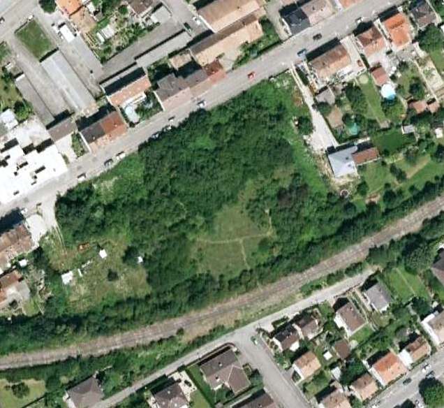 Sauvegardons les derniers