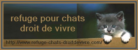 Intervention le 18/05/2011 au Refuge « Droit de Vivre » à Vif (ISERE)