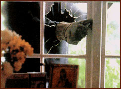 Liberté pour le Papi de Chaumont