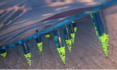 Non au carnet de santé greffé sous la peau !