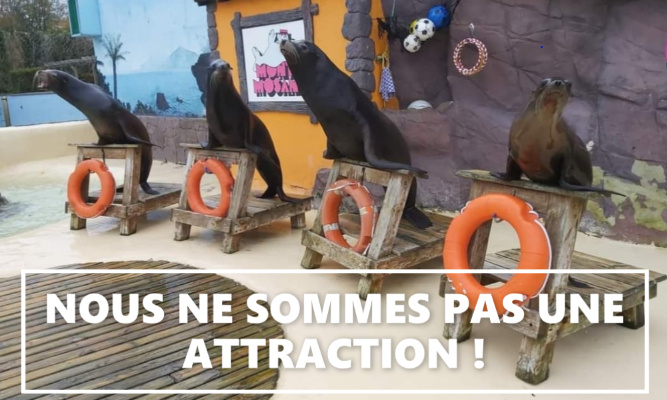 CONTRE l'exploitation animale du Mont Mosan