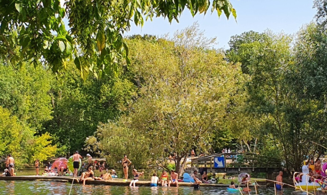 INCIVILITÉS AU BORD DU LOING - Montigny sur Loing/La Genevraye