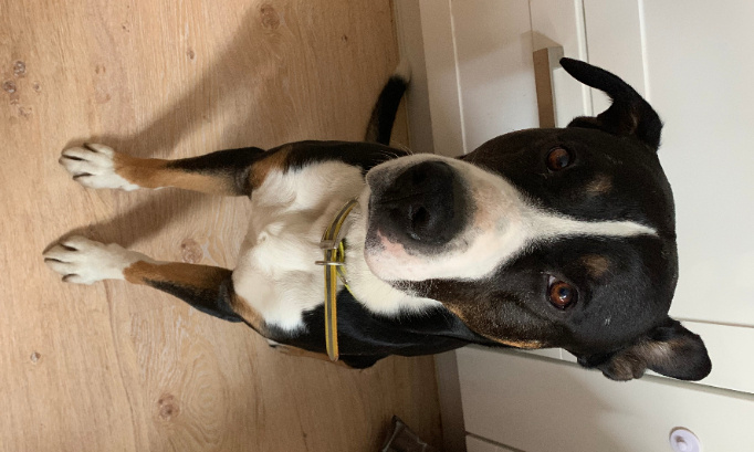 Harc&egrave;lement et diffamation