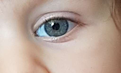 Nos enfants ne sont pas à vous !