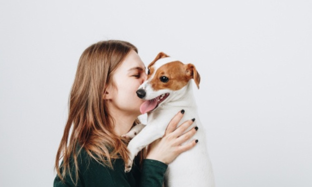 Acceptation des chiens dans les transports en commun de Nantes