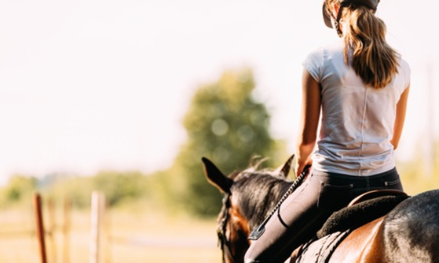 Pérennisation du Poney Cernaise à Septmoncel Les Molunes