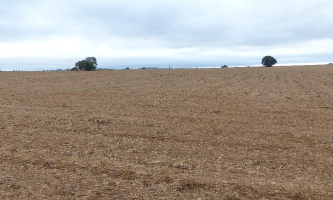 Non à l'implantation de 4 poulaillers dans un village à Bain de Bretagne