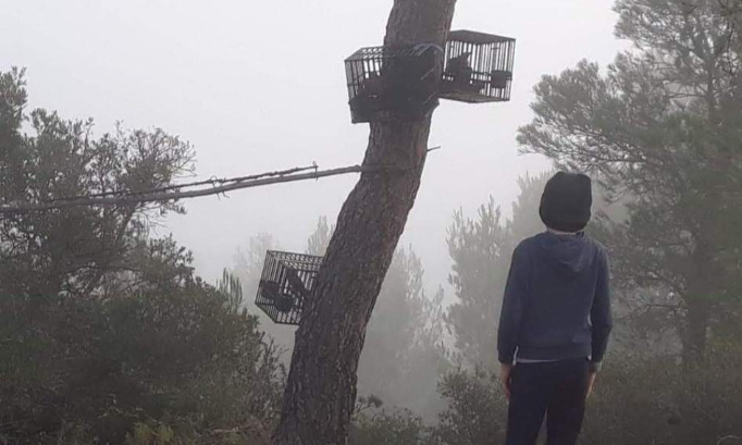 PETITION POUR LA DEFENSE DE LA CHASSE ET DE LA RURALITE