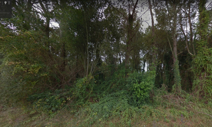 Soustons : pour la sauvegarde de la zone naturelle de la Mathe du Bec