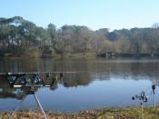 Sauvons l'étang de Kerloquet (Carnac 56)