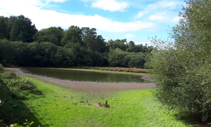 CONTRE le manque d'entretien de l'étang de la vallée de la cour