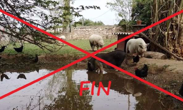 Il Faut Sauver La Cour Des Sarcelles de Boucoiran (30190)