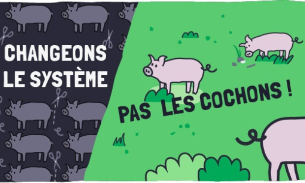 STOP À LA COUPE DES QUEUES DE COCHONS !