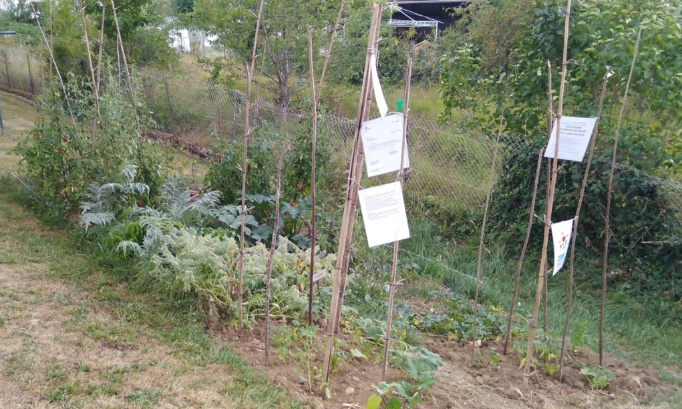 Aidez-nous à sauver le jardin potager du Val Fleuri