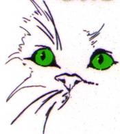 Aide contre le massacre des chats errants