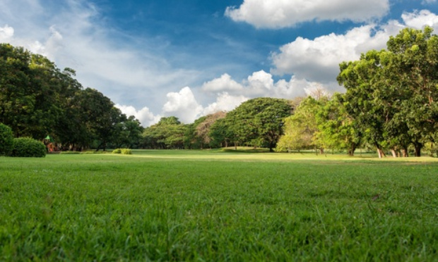 Non au projet d'une salle des sports rue d'Alsace à la place de nos espaces verts